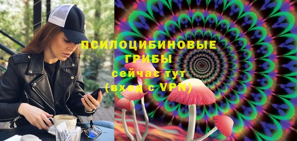 шишки Алексеевка
